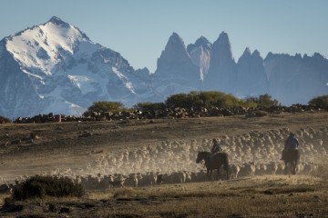 Unique Stay: Tierra Patagonia - Torres del Paine