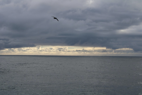 The Drake Passage