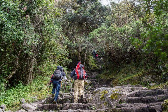 Hikers walking the steps on the Inca Trail Hikers walking the steps on the Inca Trail