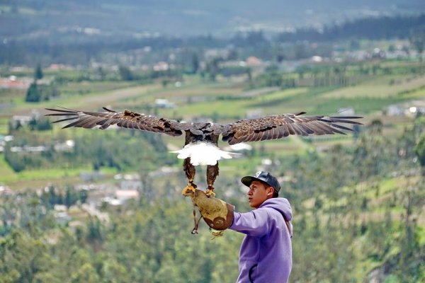Otavalo Condor Park Otavalo Condor Park