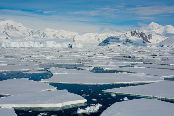Ice plates floating in Antarctica Ice plates floating in Antarctica