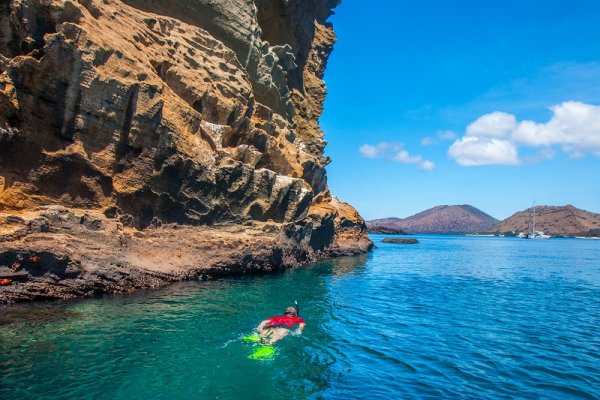 Tourist snorkelling in clear Galapagos waters Tourist snorkelling in clear Galapagos waters