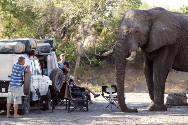 Chobe National Park Hungry Elephant attacks tourist Chobe National Park Hungry Elephant attacks tourist