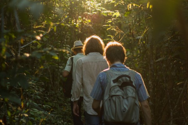 Explore the Amazon Rainforest Explore the Amazon Rainforest