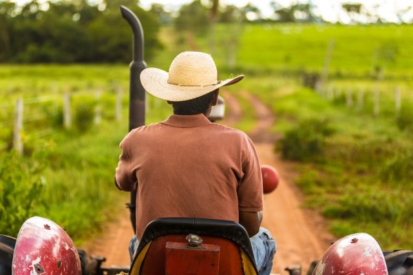 Farmer on his tractor Farmer on his tractor
