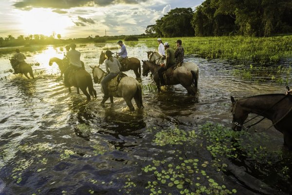 Horse riding in the Pantanal Horse riding in the Pantanal