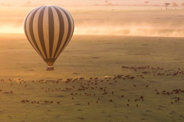 Hot-air ballooning in Masai Mara, Kenya. Hot air ballooning in Masai Mara Kenya.