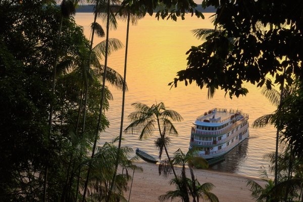 Jungle cruise in the evening, Amazon rainforest Jungle cruise in the evening, Amazon rainforest