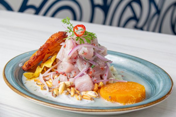 Plate of ceviche Plate of ceviche
