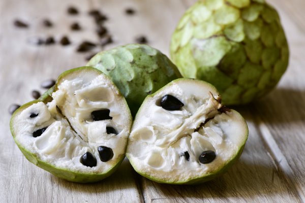 Popular food in South America must try Chirimoya in Peru and Bolivia Popular food in South America must try Chirimoya in Peru and Bolivia