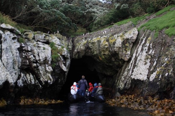 Tours in the Sub Antarctic Islands SubAntarcticIslands13