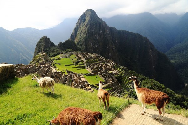 Machu Picchu,Peru Machu Picchu,Peru