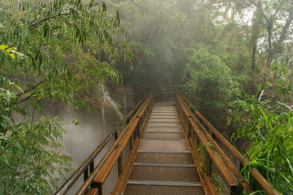 Trekking the Macuco Trail amidst Iguazu Falls Trekking the Macuco Trail amidst Iguazu Falls
