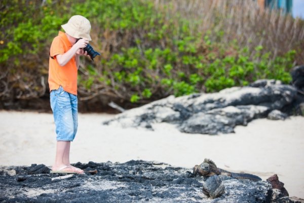 Child in Galapagos photographing a marine iguana on the beach Child in Galapagos photographing a marine iguana on the beach