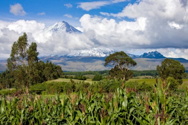 Cotopaxi Volcano, Ecuador Cotopaxi Volcano, Ecuador