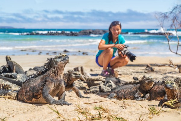Tourist taking picture of an Iguana Iguana taking pictures