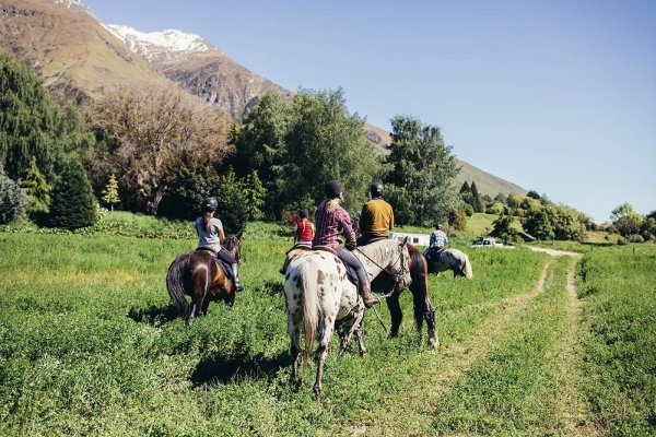 Horse Riding in South Island horse riding
