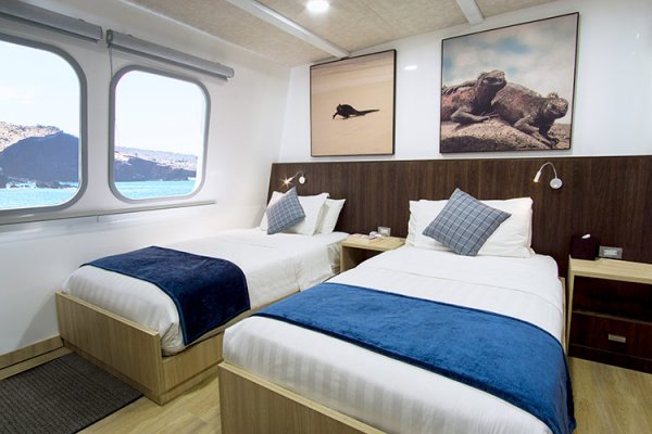 nparadise main deck stateroom Royal Galapagos