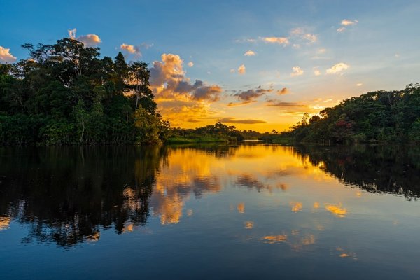 Sunset in the Amazon River Rainforest Sunset in the Amazon River Rainforest