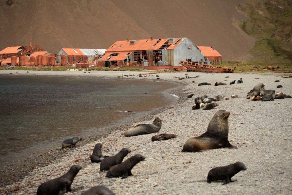 South Georgia's whaling station South Georgia's whaling station