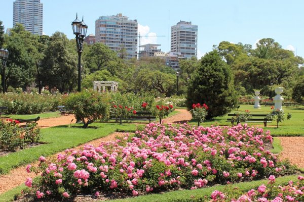 Rosegarden in Buenos Aires, Argentina Rosegarden in Buenos Aires, Argentina