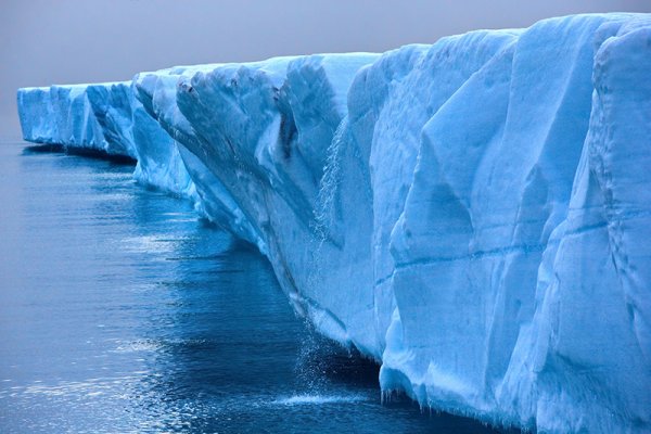 The Ross Sea is a marine wildlife haven, home to over one-third of all penguin species and almost 50% of the world’s Weddel seals. The Ross Sea Ice Shelf is the world’s largest and a major highlight on Antarctic expeditions from New Zealand. The Ross Sea is a marine wildlife haven, home to over one-third of all penguin s