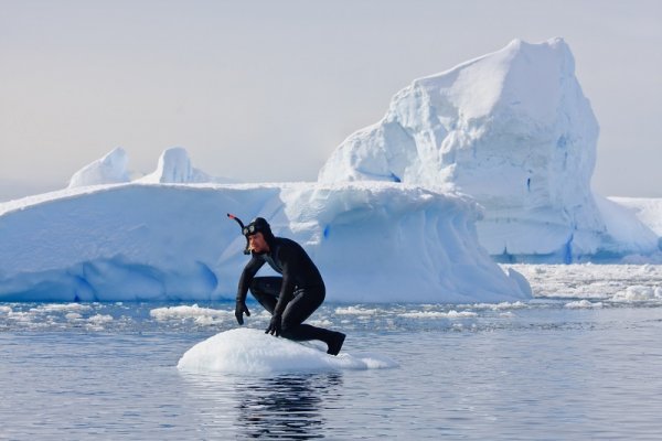A diver on the ice, Antartcica A diver on the ice, Antartcica