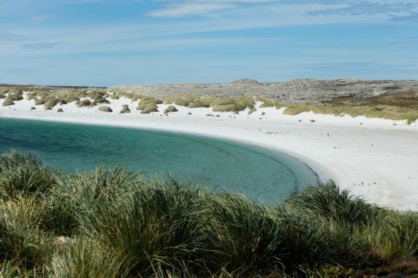 Falkland Island Falkland Island