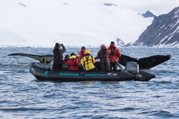 Tourists watching humpback whales, Antarctic Peninsula Tourists watching humpback whales, Antarctic Peninsula