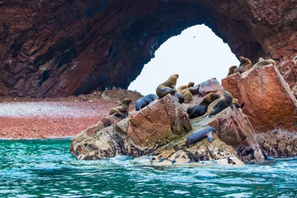 Ballestas Islands, Paracas, Peru
