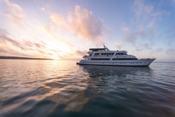 Sea Star cruise ship in the sunset Sea Star cruise ship in the sunset