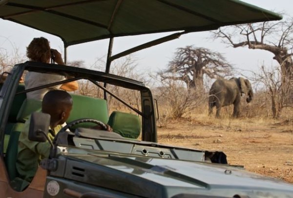 Southern Circuit game drive Southern Circuit game drive
