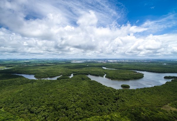 Amazon Rainforest, South America Amazon Rainforest, South America