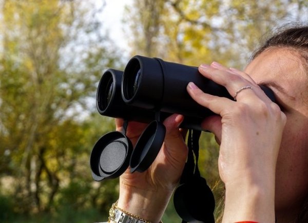 Visit Subantarctic and bring your Binocular Visit Subantarctic and bring your Binocular