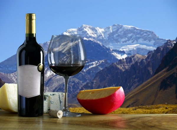 Wine tasting/tours in Mendoza and Cafayate Argentina's wines are renowned internationally