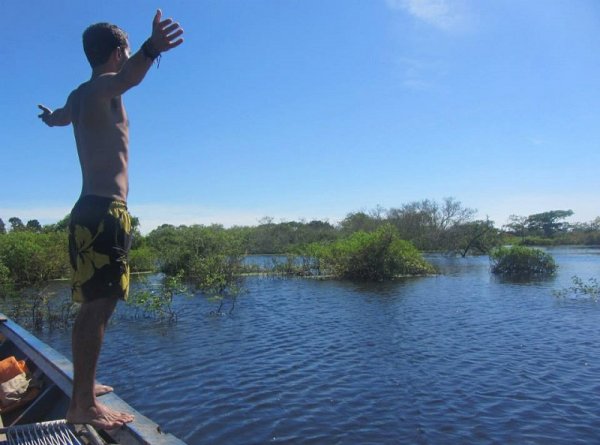 Amazon Rainforest 8510 10151540533349079 734220886 n 800