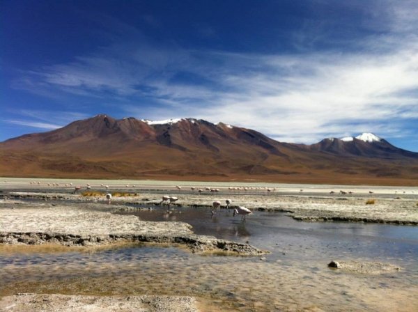 Laguna Colorada 1237 10151540461994079 102295787 n 800