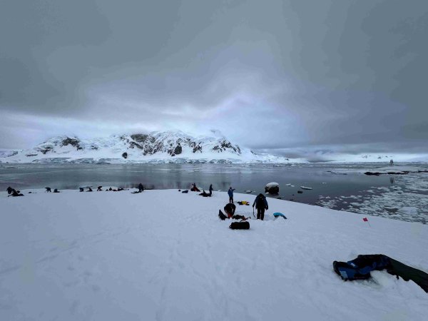 Antarctica cruise with overnight camping Antarctica cruise with overnight camping