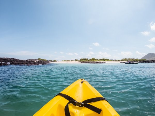 Kayaking in the Galapagos Kayaking in the Galapagos