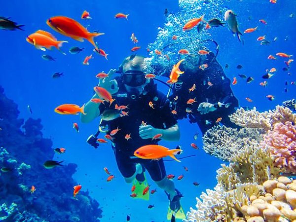 Safe to visit Egypt and experience snorkeling Safe to visit Egypt and experience snorkeling
