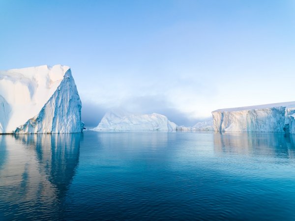 Arctic Icebergs shutterstock 782131588 800