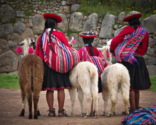 Indigenous people and llamas from the back Indigenous people and llamas from the back