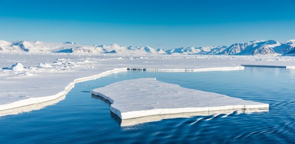 Arctic landscape in Svalbard shutterstock 1325834837 By Risto Raunio 800