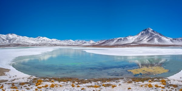 Laguna Blanca, Bolivia shutterstock 1166056456 By Delpixel 800