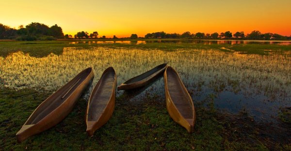 On such flat, nature-infused terrain, the sunrises are breathtaking. Visit Okavango Delta and experince mokoro ride