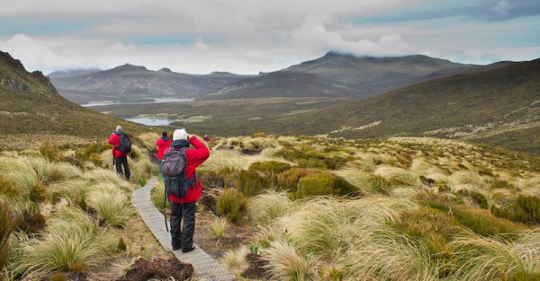 Hiking Track on a Sub Antarctic Island shutterstock 58534828 Janelle Lugge 800