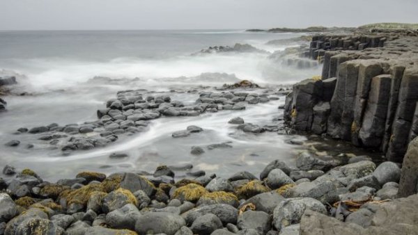 Basalt Column Basalt columns chathams sm