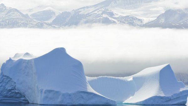 Arctic