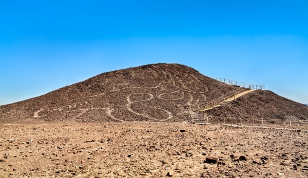 nazca lines cat