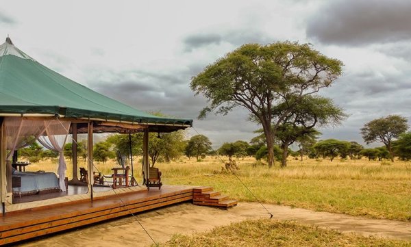 Honeyguide Tarangire Camp, South Africa Honeyguide Tarangire Camp